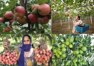 Coca-Cola-Indias-‘Project-Unnati-has-touched-the-lives-of-3.5-Lakh-farmers-across-12-states-in-India.JPG