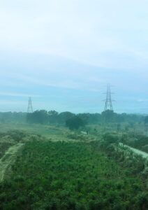 WhatsApp Image 2025-06-02 at 18.56.13_eae4b104