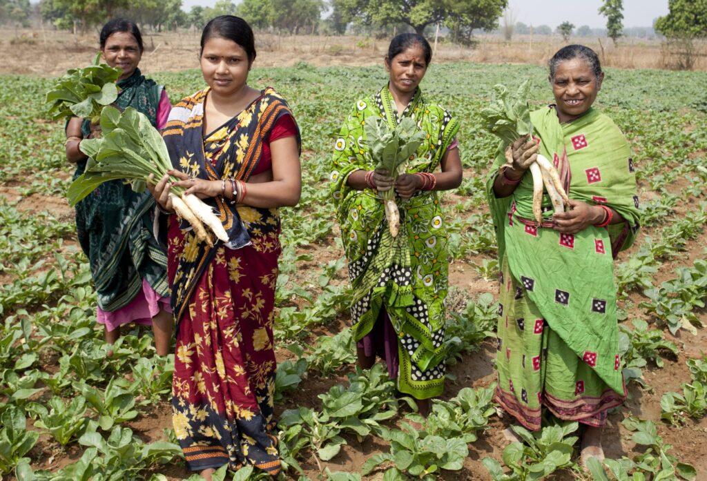 Picture Jharsuguda-CSR-Women SHG