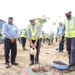 Dhamra Port Marks World Environment Day with 1,000 saplings