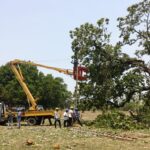  Unprecedented Kal Baisakhi Storms Batter Western Odisha; TPWODL Deploys War-Footing Restoration with Over 7500+ Personnel Across 9 Districts
