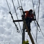 TPSODL Rolls Out Robust Preparations for Monsoon Season