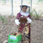 From Beehives to Better Livelihoods: VAML’s Vedamrit Empowers Rural Farmers in Jharsuguda