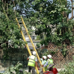 Cyclone Arnab: TPCODL Activates Comprehensive Disaster Management Plan to Safeguard Power Infrastructure